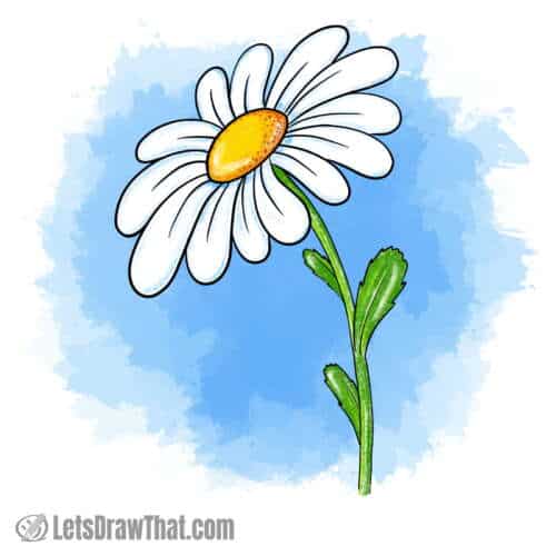 Daisy flower drawing colored-in