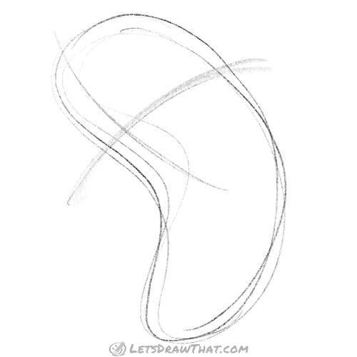 Drawing step: Sketch the head shape and a face cross