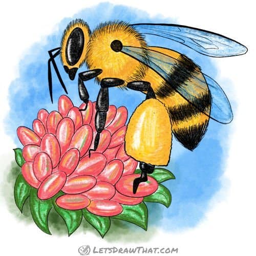How to draw a bee: finished drawing coloured-in
