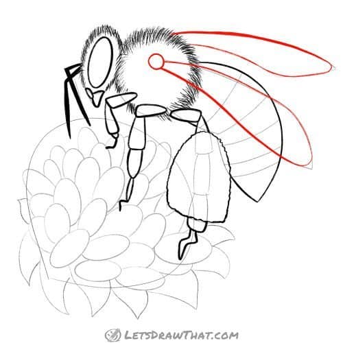 Drawing step: Draw the bee's wings