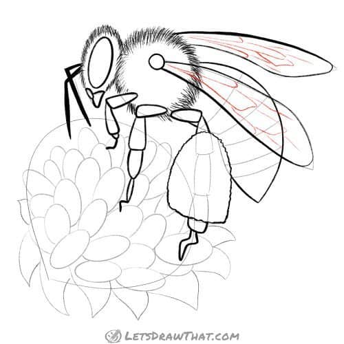 Drawing step: Draw the wing pattern