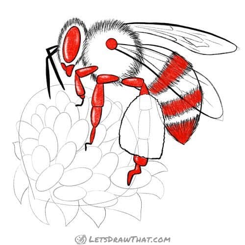 Drawing step: Colour in the black parts