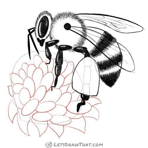 Drawing step: Draw out the flower