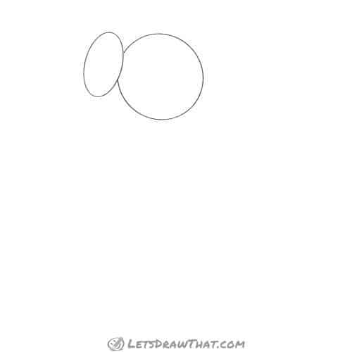 Drawing step: Sketch the head and thorax