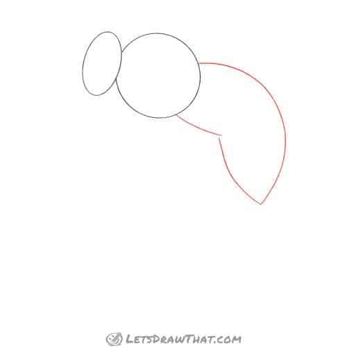 Drawing step: Sketch the abdomen