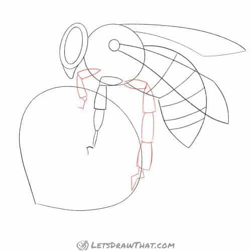 Drawing step: Sketch the front and rear leg