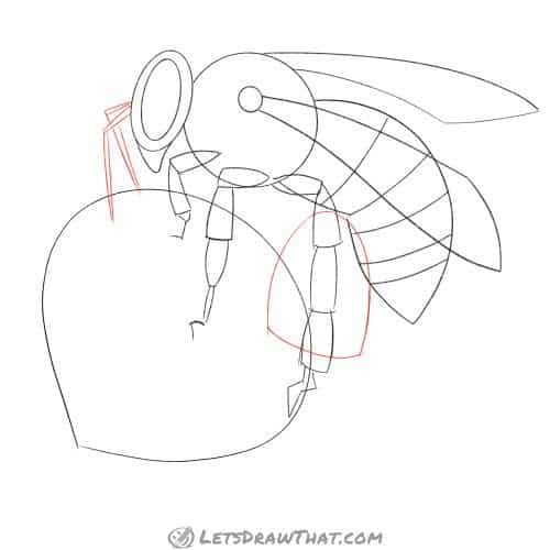 Drawing step: Sketch the bee's antennae and pollen bag