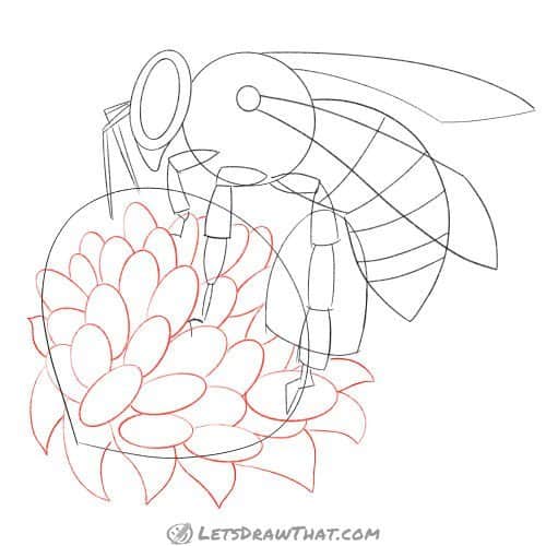 Drawing step: Sketch the flower