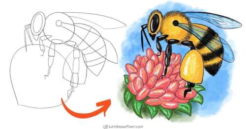 How to Draw a Bee – Simple Realistic Style - step-by-step-drawing tutorial featured image