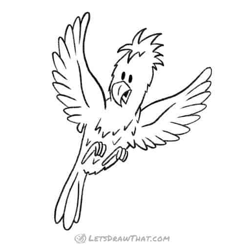 How to draw a bird: finished parrot outline drawing