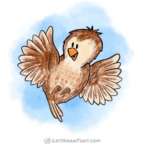 How to draw a bird: finished wren drawing coloured-in