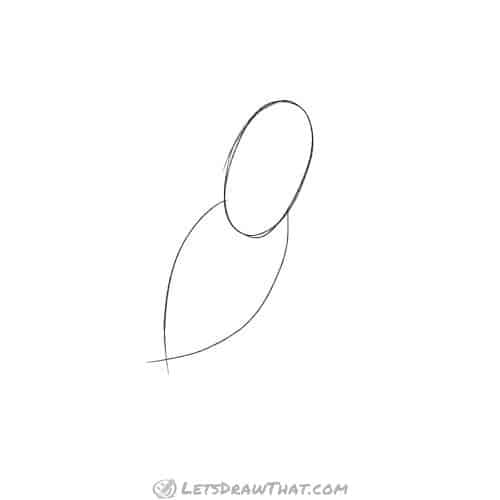 Drawing step: Sketch the head and body shapes