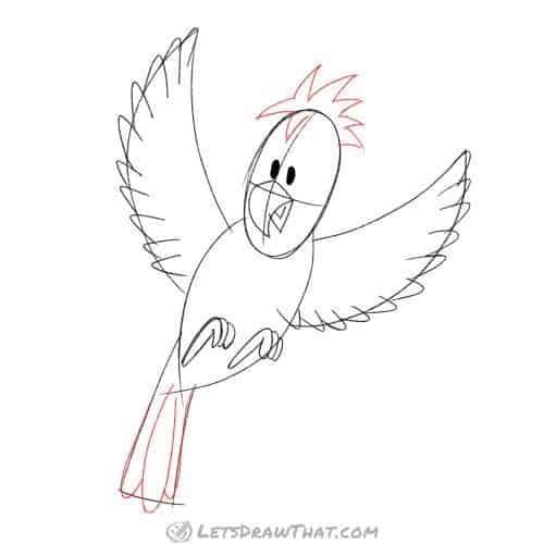 Drawing step: Draw the parrots tail feathers and "hairdo"