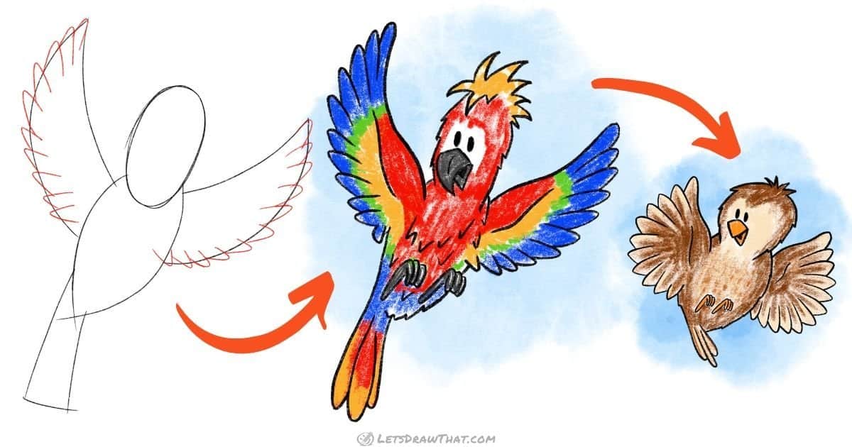 How to Draw a Bird: 2 Birds From One Easy Sketch
