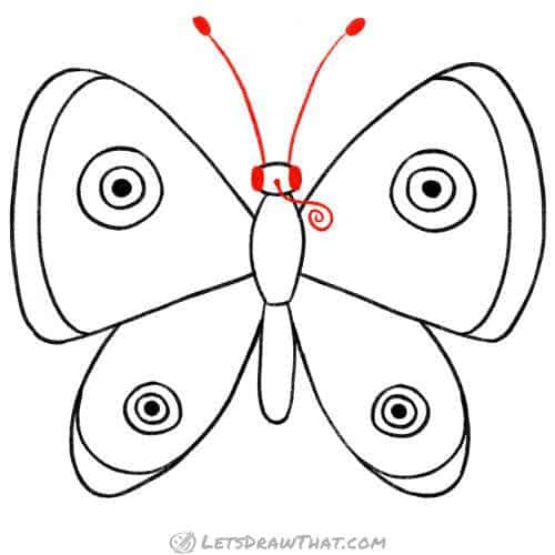 Drawing step: Draw butterfly’s “face”