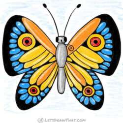 How to draw a butterfly wing patterns: finished drawing coloured-in
