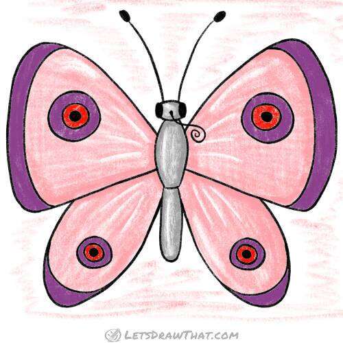 How to draw a butterfly: finished drawing coloured-in