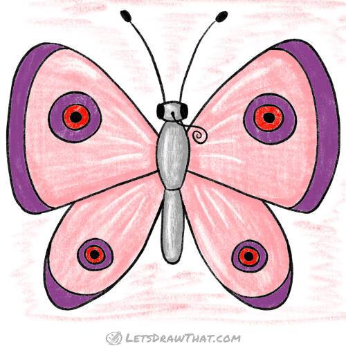 How to draw a butterfly: finished drawing coloured-in