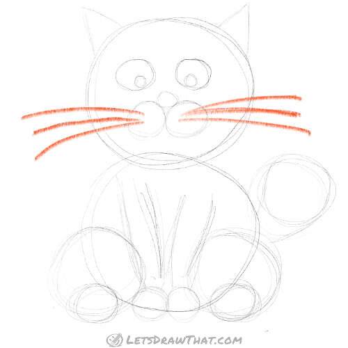 Drawing step: Draw the whiskers
