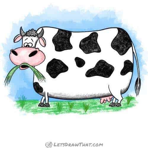 How to draw a cow: finished drawing coloured-in