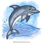 How to draw a dolphin: finished drawing coloured-in