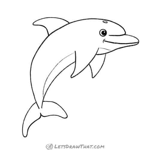 How to draw a dolphin: finished outline drawing