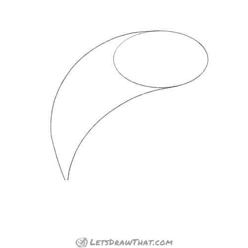 Drawing step: Sketch the dolphin's base body shape