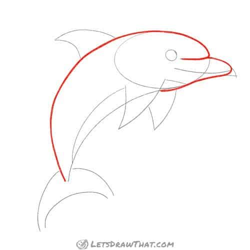 Drawing step: Draw the dolphin's body