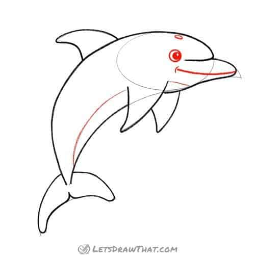 Drawing step: Draw the dolphin's face