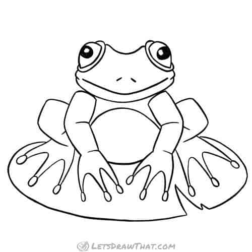 How to draw a frog: finished outline drawing