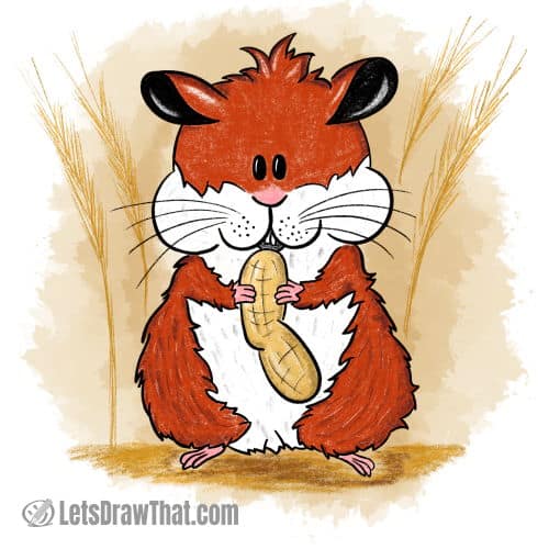 How to draw a hamster: finished drawing coloured-in