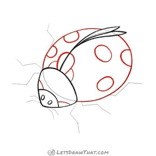 Drawing step: Outline the spots and wings