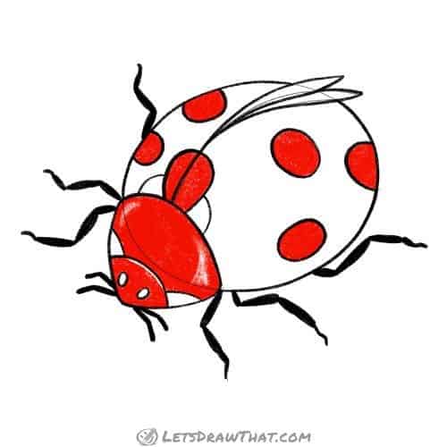 Drawing step: Fill in the spots