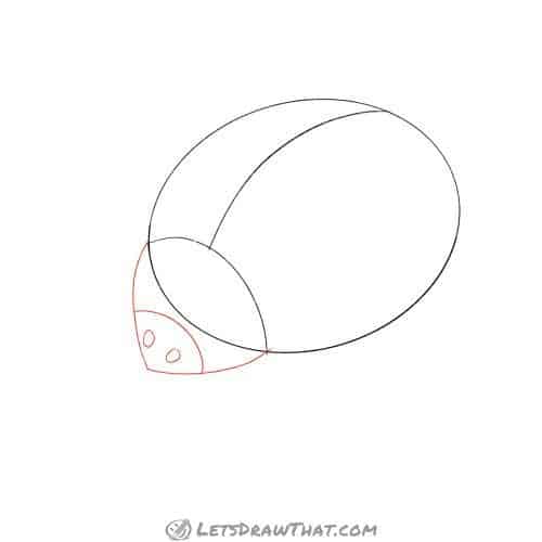 Drawing step: Sketch the ladybug's head