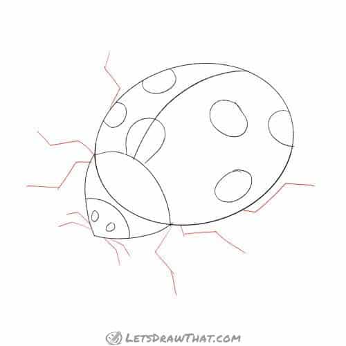 Drawing step: Sketch the legs and antennae