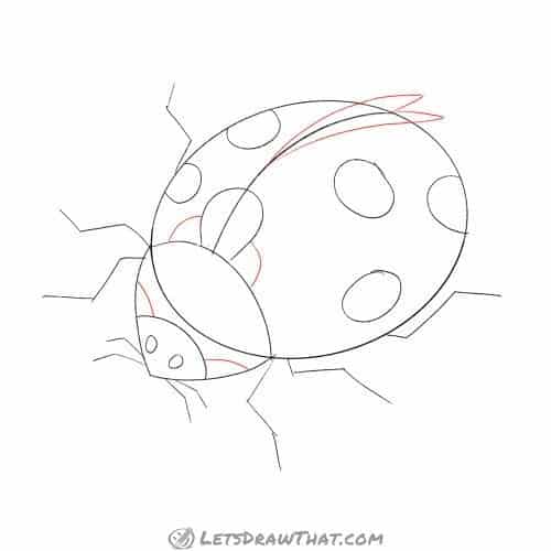 Drawing step: Add final details