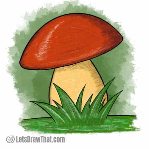 How to draw a mushroom: finished bolete mushroom drawing coloured-in