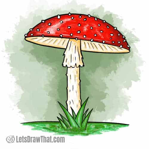 How to draw a mushroom: finished fly agaric mushroom drawing coloured-in