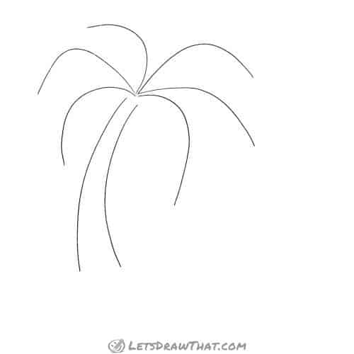 Drawing step: Draw the palm tree trunk and leaf base shapes