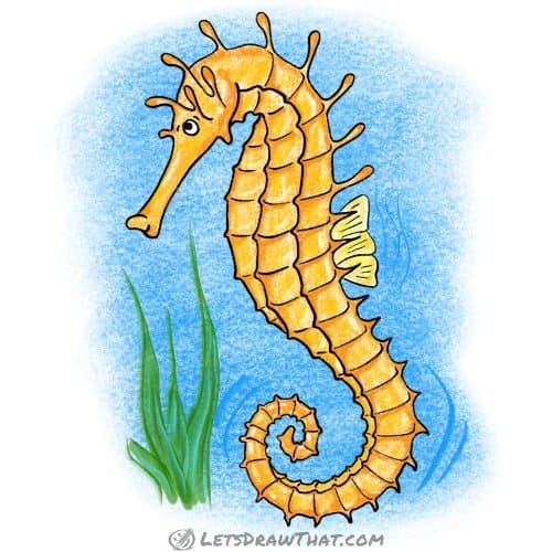 How to draw a seahorse: finished drawing coloured-in