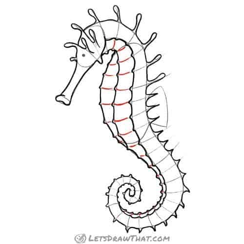 Drawing step: Draw the horizontal ridges on the belly