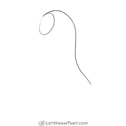 Drawing step: Sketch the head and spine