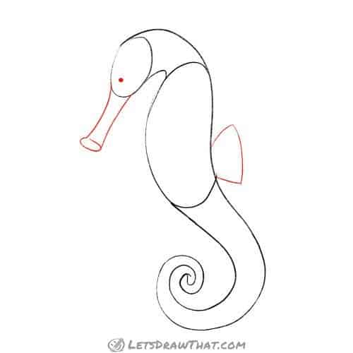 Drawing step: Sketch the snout and fin