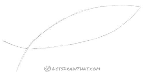 Drawing step: Sketch the basic fish shape
