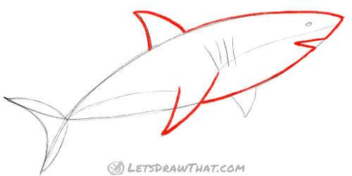 Drawing step: Trace the front half of the body