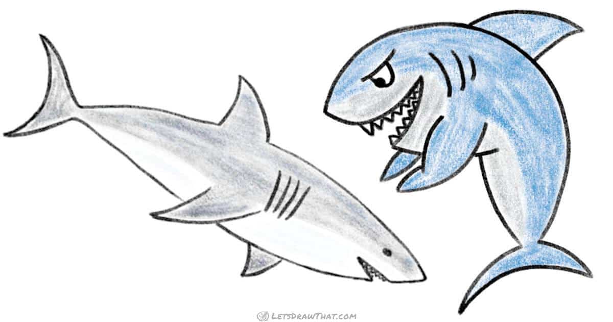 How to Draw a Shark – One Simple and One Cartoon Style