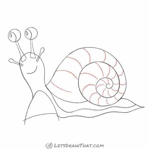 Drawing step: Add the stripes to the shell