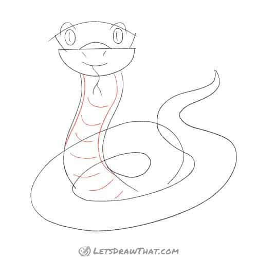 Drawing step: Draw the snake's belly