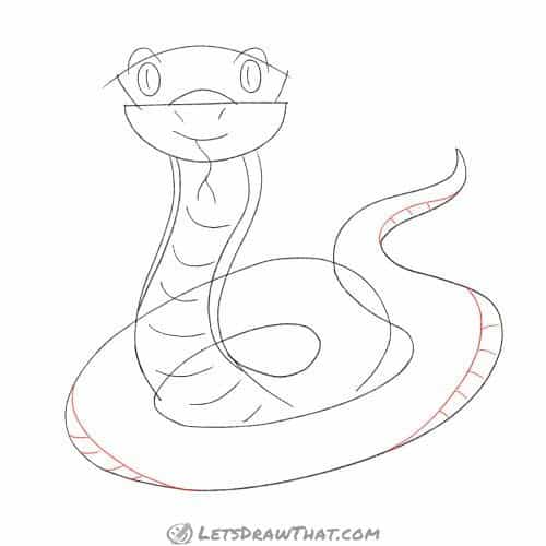 Drawing step: Draw the underbelly