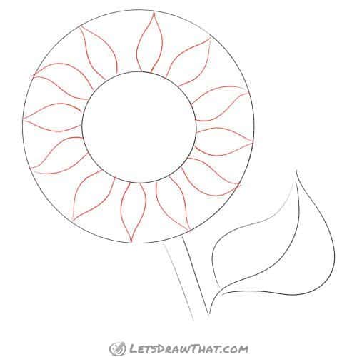Drawing step: Draw the first layer of sunflower petals